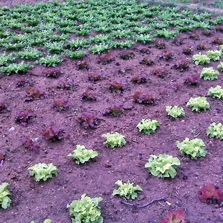 Esteba Отель Кальдас-де-Малавелья